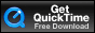 GetQuickTimePlayer